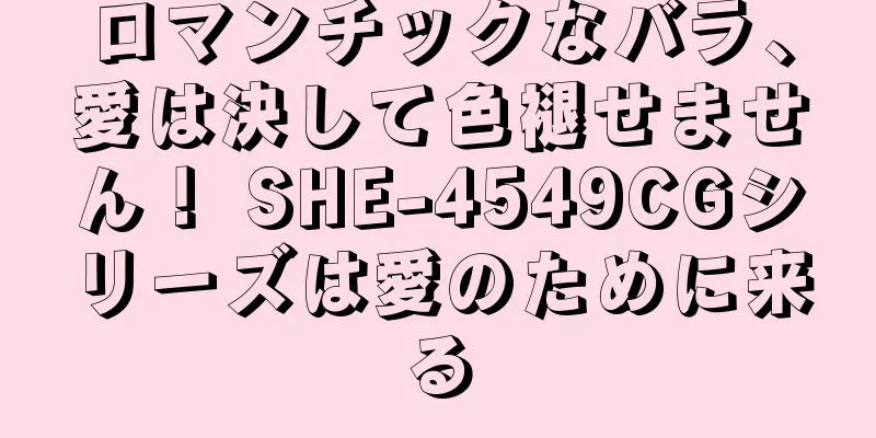 ロマンチックなバラ、愛は決して色褪せません！ SHE-4549CGシリーズは愛のために来る