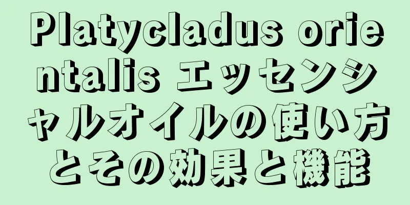 Platycladus orientalis エッセンシャルオイルの使い方とその効果と機能