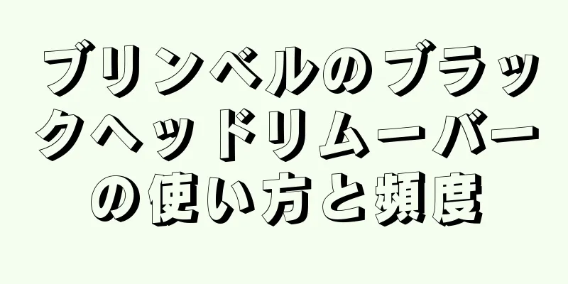 ブリンベルのブラックヘッドリムーバーの使い方と頻度