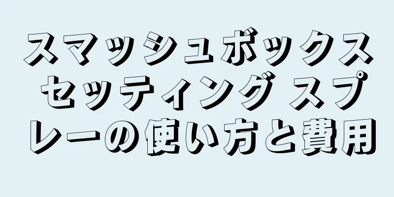 スマッシュボックス セッティング スプレーの使い方と費用