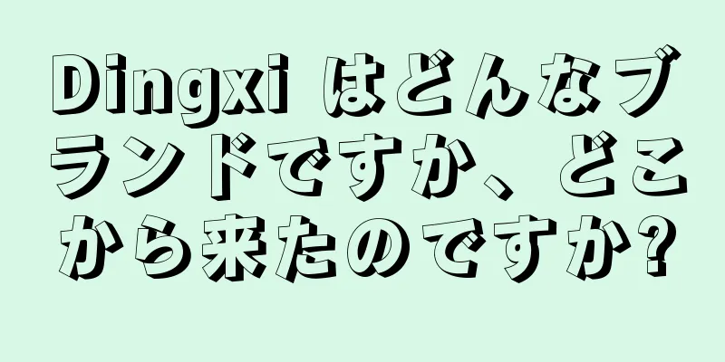 Dingxi はどんなブランドですか、どこから来たのですか?