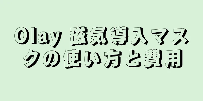 Olay 磁気導入マスクの使い方と費用