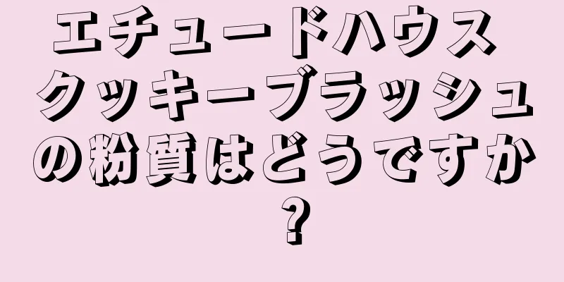 エチュードハウス クッキーブラッシュの粉質はどうですか？