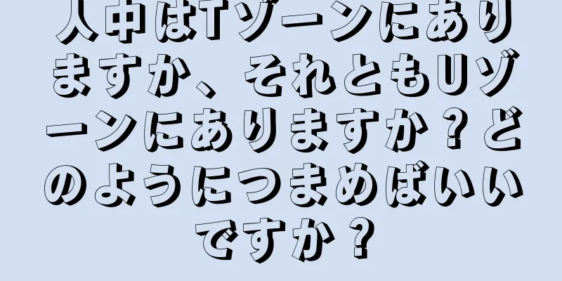 人中はTゾーンにありますか、それともUゾーンにありますか？どのようにつまめばいいですか？