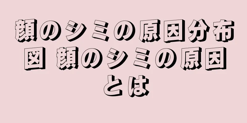 顔のシミの原因分布図 顔のシミの原因とは