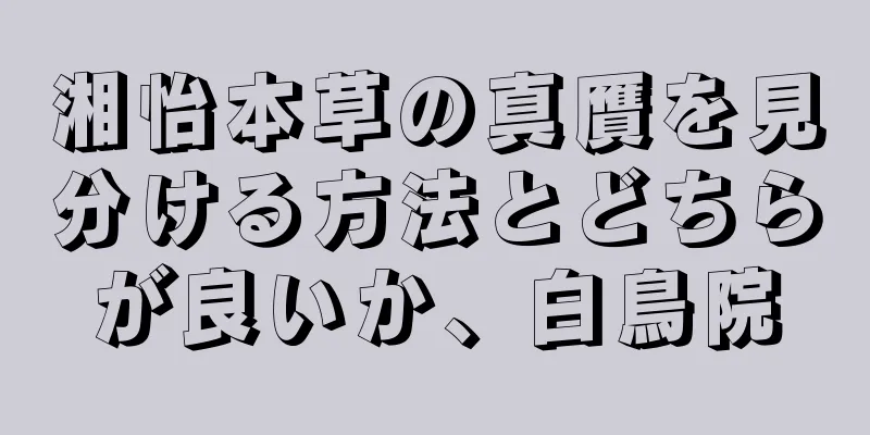 湘怡本草の真贋を見分ける方法とどちらが良いか、白鳥院