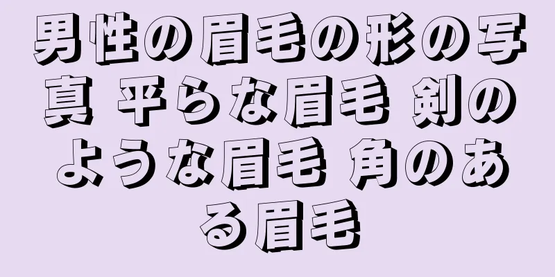 男性の眉毛の形の写真 平らな眉毛 剣のような眉毛 角のある眉毛