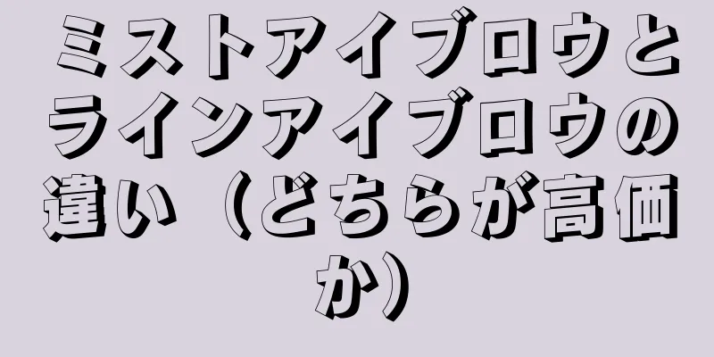 ミストアイブロウとラインアイブロウの違い（どちらが高価か）