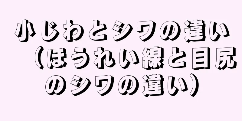 小じわとシワの違い（ほうれい線と目尻のシワの違い）