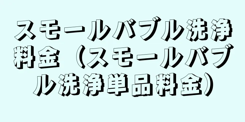 スモールバブル洗浄料金（スモールバブル洗浄単品料金）