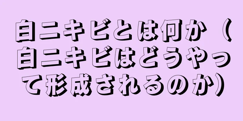 白ニキビとは何か（白ニキビはどうやって形成されるのか）