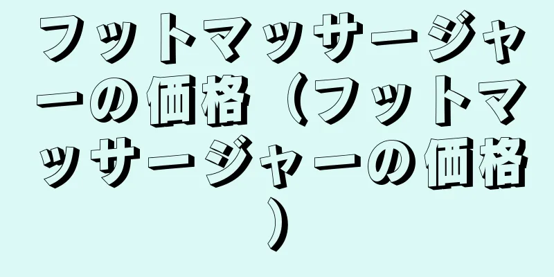 フットマッサージャーの価格（フットマッサージャーの価格）