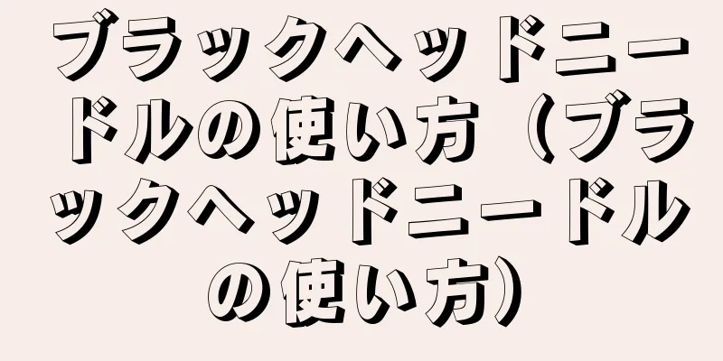 ブラックヘッドニードルの使い方（ブラックヘッドニードルの使い方）