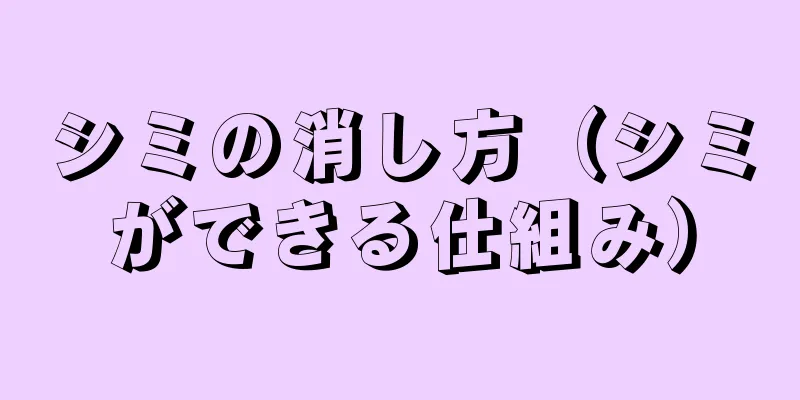 シミの消し方（シミができる仕組み）