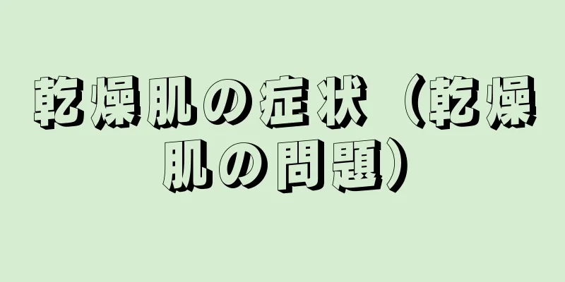 乾燥肌の症状（乾燥肌の問題）