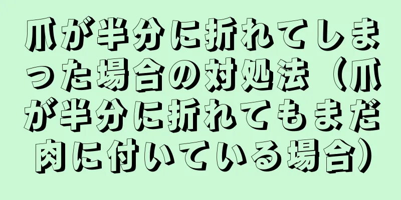 爪が半分に折れてしまった場合の対処法（爪が半分に折れてもまだ肉に付いている場合）