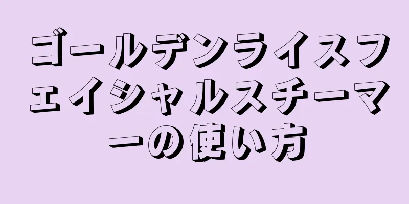 ゴールデンライスフェイシャルスチーマーの使い方