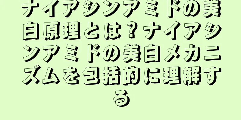 ナイアシンアミドの美白原理とは？ナイアシンアミドの美白メカニズムを包括的に理解する