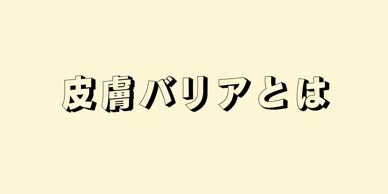 皮膚バリアとは