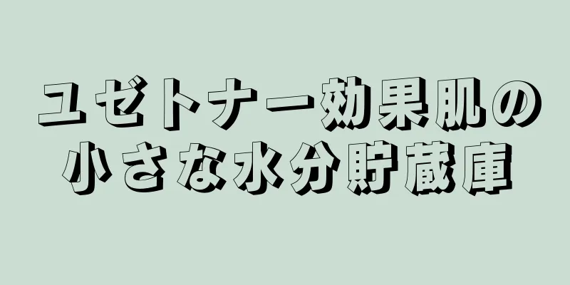 ユゼトナー効果肌の小さな水分貯蔵庫