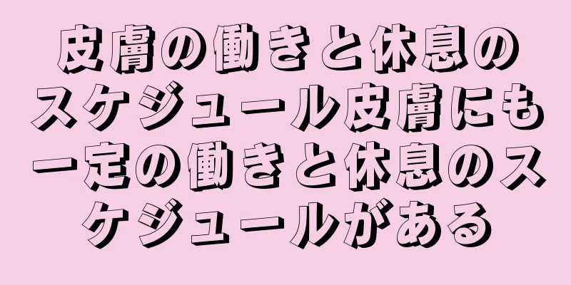 皮膚の働きと休息のスケジュール皮膚にも一定の働きと休息のスケジュールがある