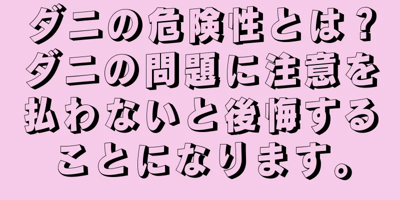 ダニの危険性とは？ダニの問題に注意を払わないと後悔することになります。