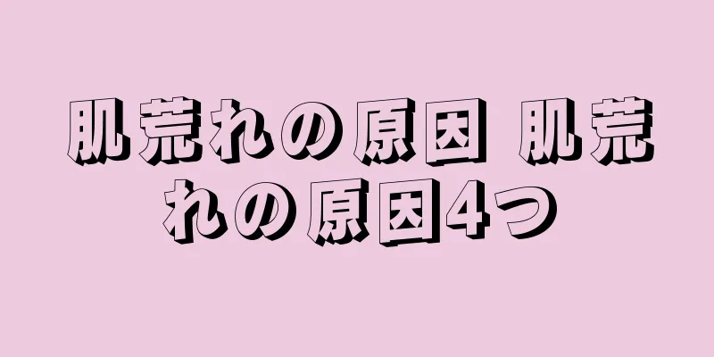 肌荒れの原因 肌荒れの原因4つ