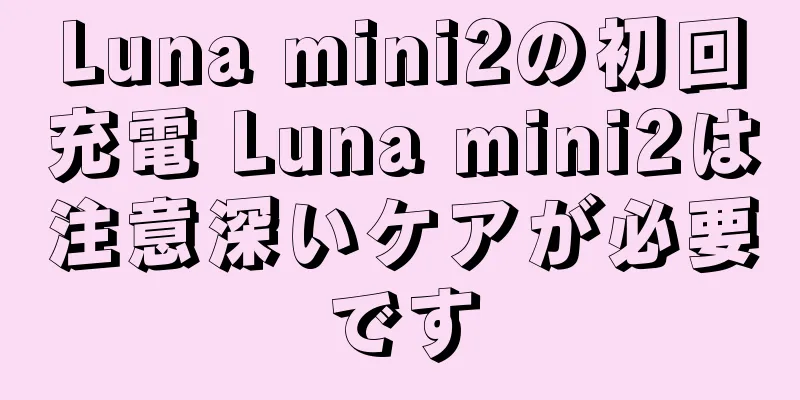 Luna mini2の初回充電 Luna mini2は注意深いケアが必要です