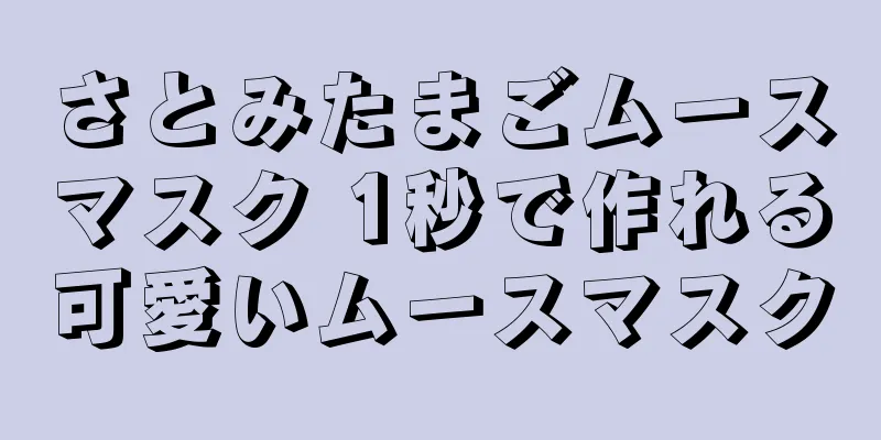 さとみたまごムースマスク 1秒で作れる可愛いムースマスク