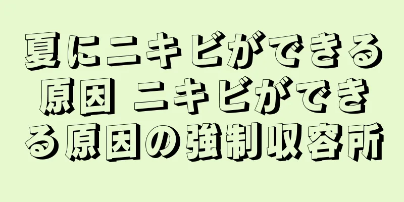 夏にニキビができる原因 ニキビができる原因の強制収容所